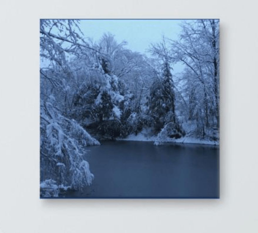 Frozen Pond Canvas