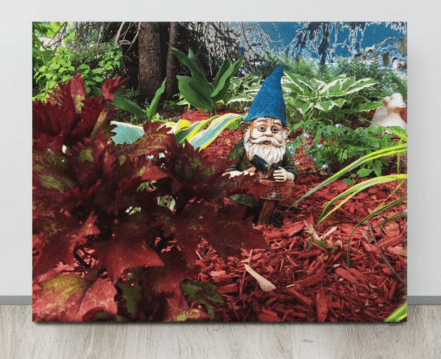 Garden Dwarf Canvas