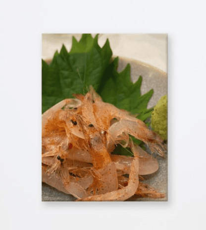 Shrimp Sashimi Canvas