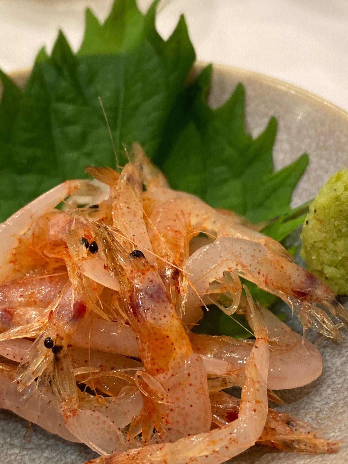Shrimp Sashimi Canvas