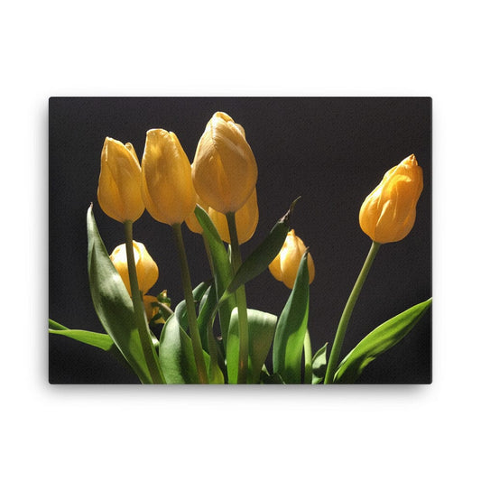 tulips bouquet on canvas - the wheaten store
