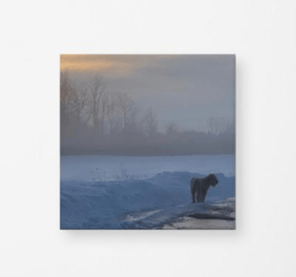 Wheaten terrier in foggy winter field canvas- the wheaten store