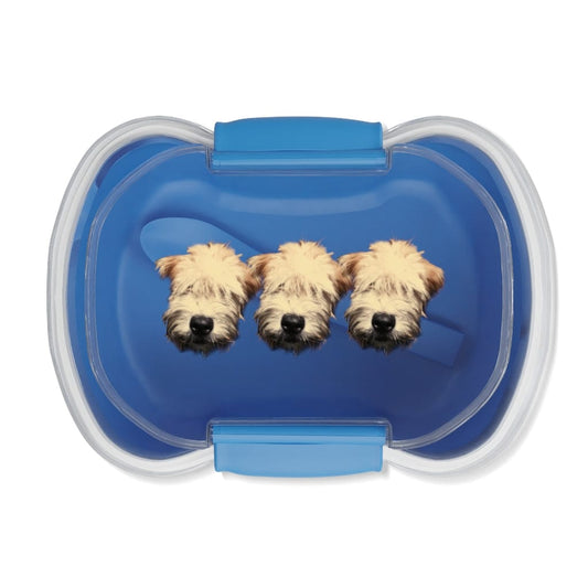 Bento box, blue with 3 wheaten puppy faces
