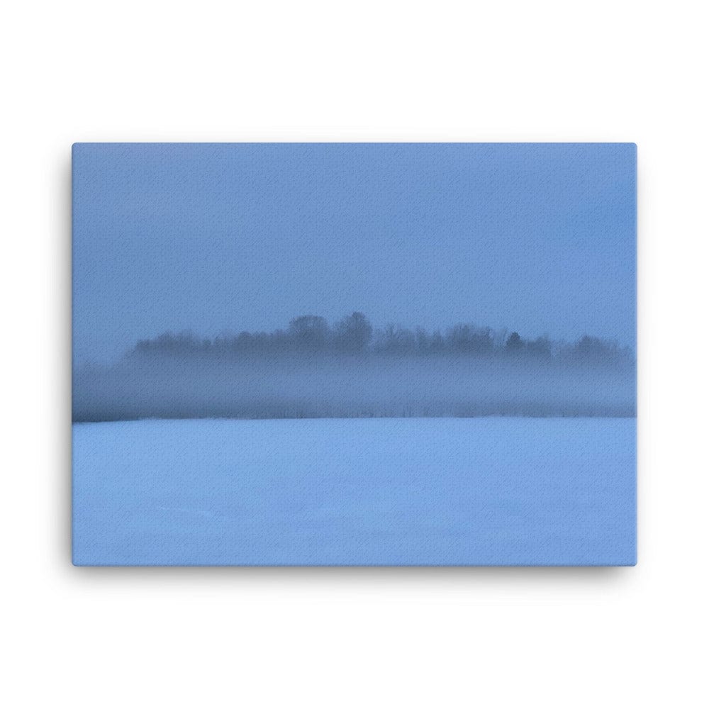 Winter Fog Canvas