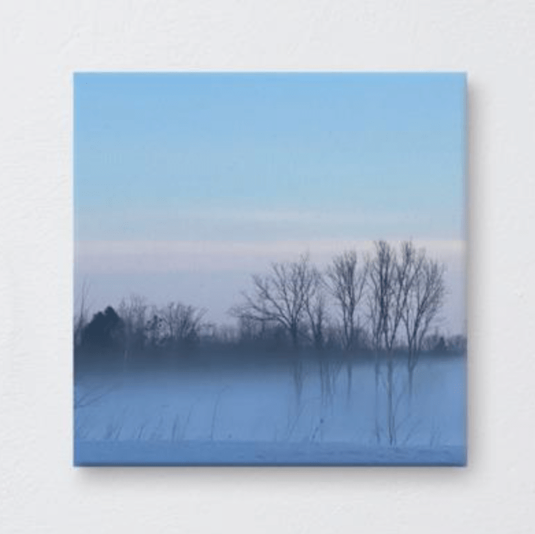 Winter Silhouettes Canvas