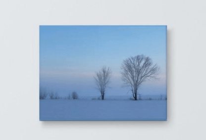 Winter softness Canvas